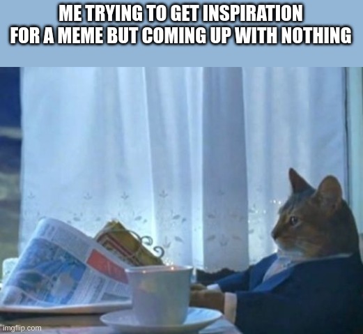 I Should Buy A Boat Cat | ME TRYING TO GET INSPIRATION FOR A MEME BUT COMING UP WITH NOTHING | image tagged in memes,i should buy a boat cat | made w/ Imgflip meme maker