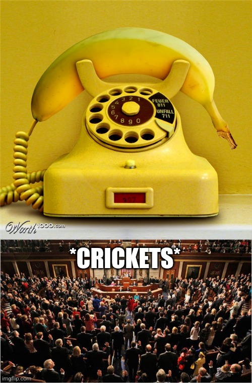 *CRICKETS* | image tagged in banana phone,congress | made w/ Imgflip meme maker