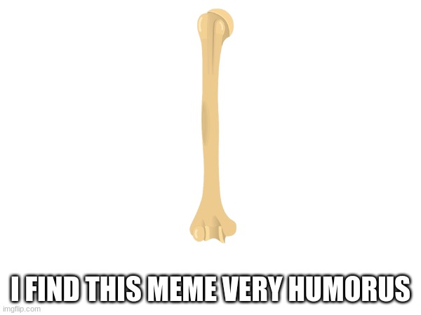 It's fine if you need to look it up | I FIND THIS MEME VERY HUMORUS | image tagged in bones,humorus,humerus,memes,goofy ahh,dad joke | made w/ Imgflip meme maker