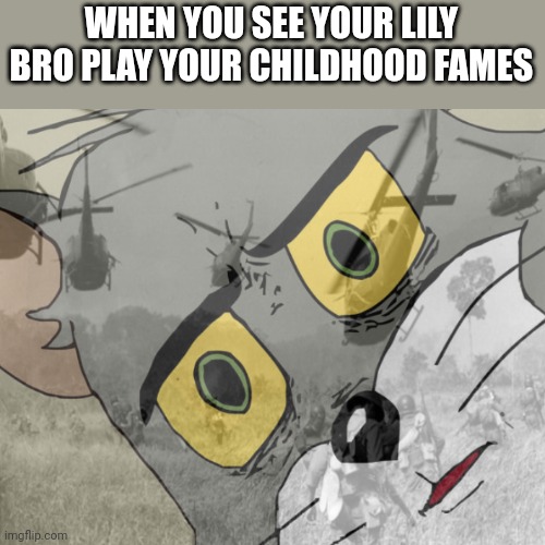 Memories | WHEN YOU SEE YOUR LILY BRO PLAY YOUR CHILDHOOD FAMES | image tagged in unsettled tom vietnam | made w/ Imgflip meme maker
