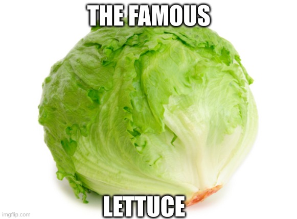 We love it <3 | THE FAMOUS; LETTUCE | image tagged in lettuce | made w/ Imgflip meme maker