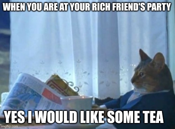 I Should Buy A Boat Cat Meme | WHEN YOU ARE AT YOUR RICH FRIEND'S PARTY; YES I WOULD LIKE SOME TEA | image tagged in memes,i should buy a boat cat | made w/ Imgflip meme maker