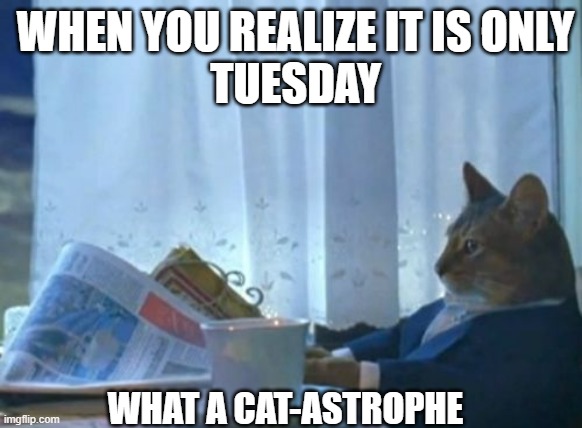 cat-astrophe | WHEN YOU REALIZE IT IS ONLY
TUESDAY; WHAT A CAT-ASTROPHE | image tagged in memes,i should buy a boat cat,cat-astrophe | made w/ Imgflip meme maker