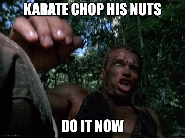 Get to the choppa | KARATE CHOP HIS NUTS; DO IT NOW | image tagged in get to the choppa | made w/ Imgflip meme maker