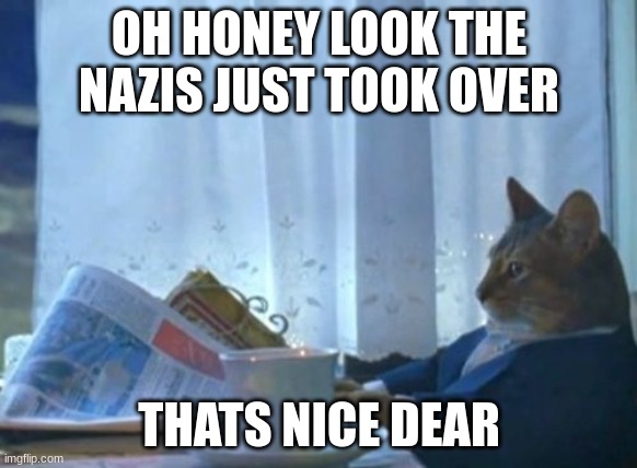 I Should Buy A Boat Cat | OH HONEY LOOK THE NAZIS JUST TOOK OVER; THATS NICE DEAR | image tagged in memes,i should buy a boat cat | made w/ Imgflip meme maker