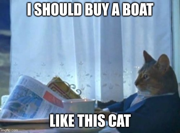 I Should Buy A Boat Cat | I SHOULD BUY A BOAT; LIKE THIS CAT | image tagged in memes,i should buy a boat cat | made w/ Imgflip meme maker