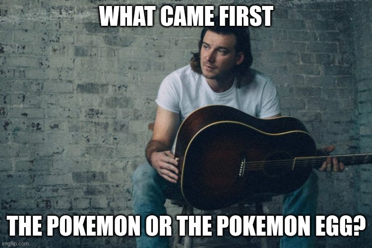 Morgan Wallen Dangerous | WHAT CAME FIRST; THE POKEMON OR THE POKEMON EGG? | image tagged in morgan wallen dangerous | made w/ Imgflip meme maker
