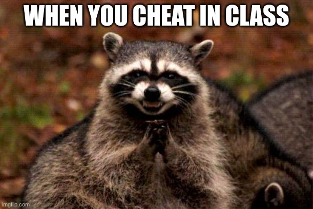 Evil Plotting Raccoon | WHEN YOU CHEAT IN CLASS | image tagged in memes,evil plotting raccoon | made w/ Imgflip meme maker