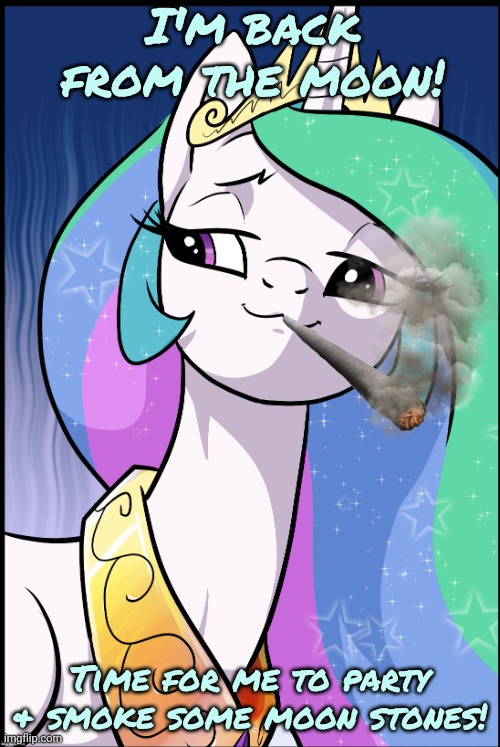I'm back from the moon! Time for me to party & smoke some moon stones! | image tagged in princess celestia | made w/ Imgflip meme maker