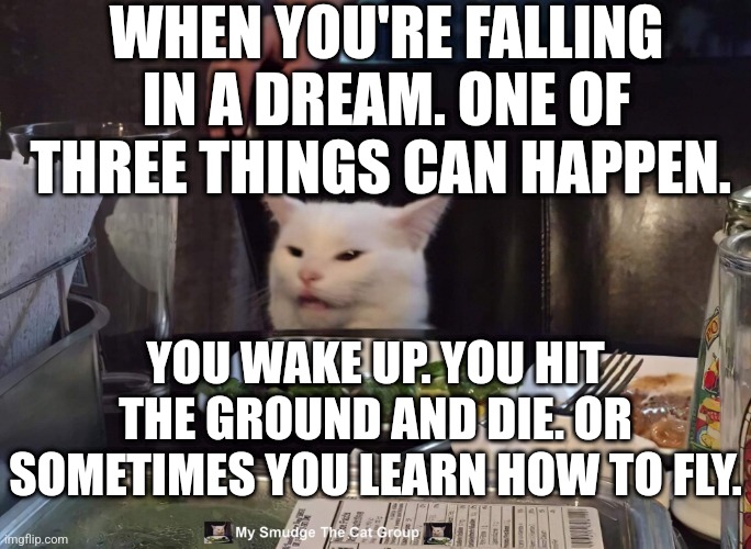 WHEN YOU'RE FALLING IN A DREAM. ONE OF THREE THINGS CAN HAPPEN. YOU WAKE UP. YOU HIT THE GROUND AND DIE. OR SOMETIMES YOU LEARN HOW TO FLY. | image tagged in smudge the cat | made w/ Imgflip meme maker