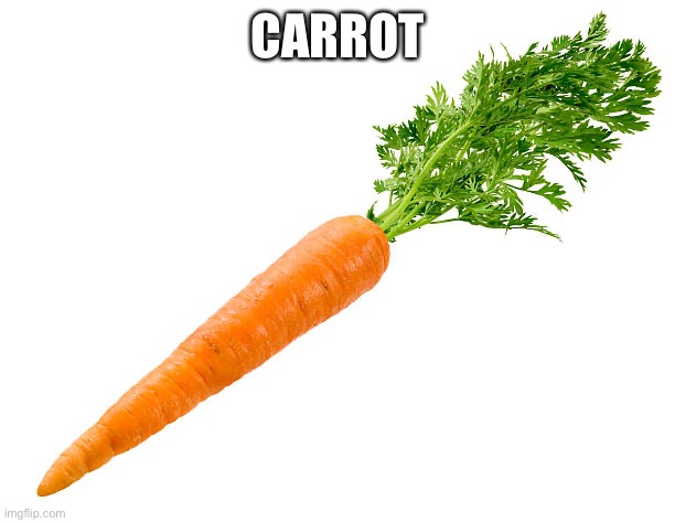 Carrot | CARROT | image tagged in carrot | made w/ Imgflip meme maker