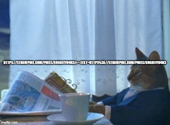 strawpoll | HTTPS://STRAWPOLL.COM/POLLS/XOGOJ1YO4N3#:~:TEXT=HTTPS%3A//STRAWPOLL.COM/POLLS/XOGOJ1YO4N3 | image tagged in memes,i should buy a boat cat | made w/ Imgflip meme maker