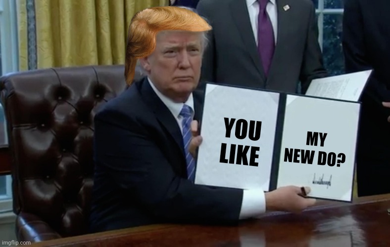 Orangeman do | YOU LIKE MY NEW DO? | image tagged in executive order trump | made w/ Imgflip meme maker