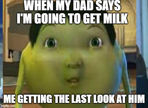 when my dad leaves to get milk | WHEN MY DAD SAYS I'M GOING TO GET MILK; ME GETTING THE LAST LOOK AT HIM | image tagged in funny | made w/ Imgflip meme maker