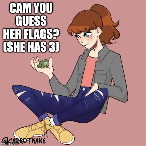 CAM YOU GUESS HER FLAGS? (SHE HAS 3) | made w/ Imgflip meme maker