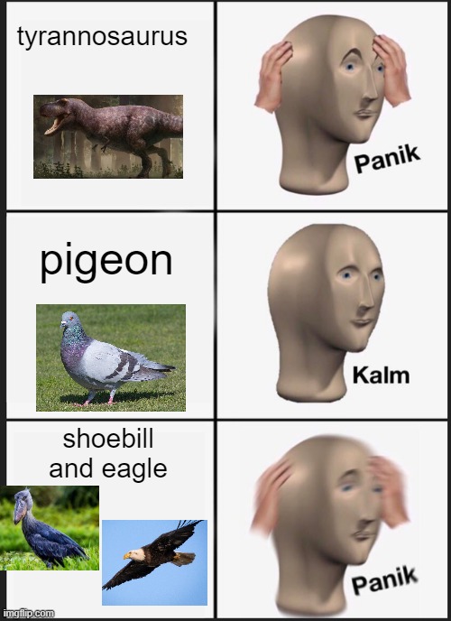 birds are not just violent as dinosaurs | tyrannosaurus; pigeon; shoebill and eagle | image tagged in memes,panik kalm panik | made w/ Imgflip meme maker