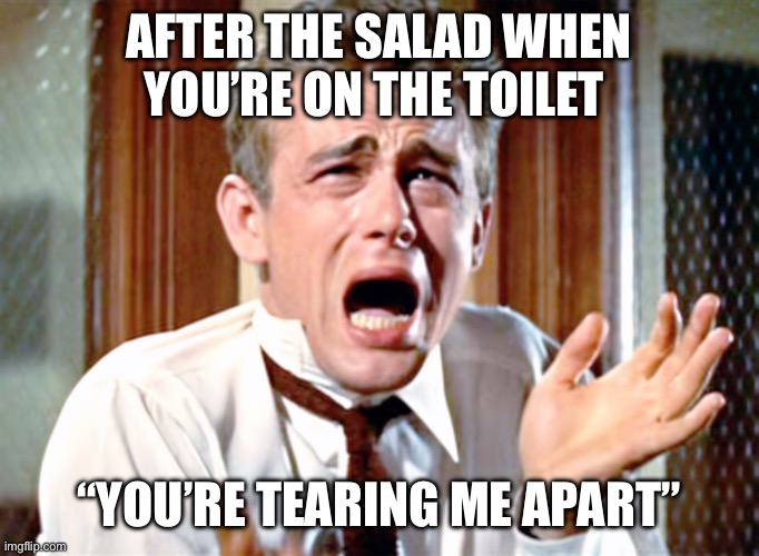 Shitty Thoughts | AFTER THE SALAD WHEN YOU’RE ON THE TOILET; “YOU’RE TEARING ME APART” | image tagged in toilet,pooping | made w/ Imgflip meme maker