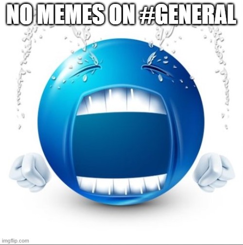 Crying Blue guy | NO MEMES ON #GENERAL | image tagged in crying blue guy | made w/ Imgflip meme maker