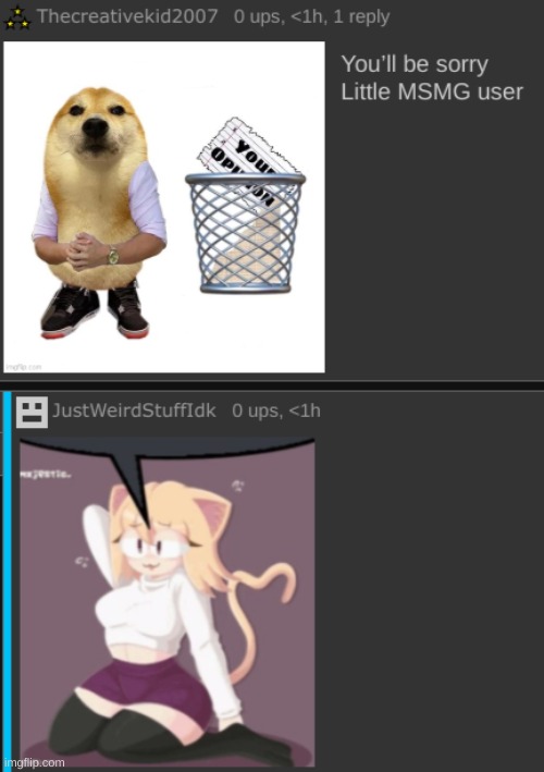 made w/ Imgflip meme maker