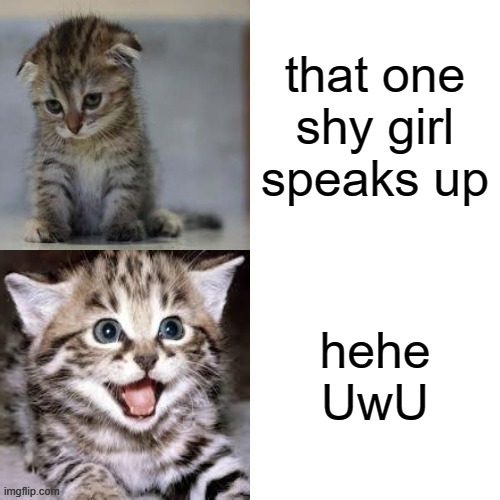 anime girl be like | that one shy girl speaks up; hehe UwU | image tagged in sad cat to happy cat | made w/ Imgflip meme maker