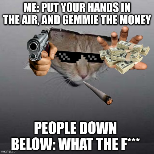 Ceiling Cat Meme | ME: PUT YOUR HANDS IN THE AIR, AND GEMMIE THE MONEY; PEOPLE DOWN BELOW: WHAT THE F*** | image tagged in memes,ceiling cat | made w/ Imgflip meme maker