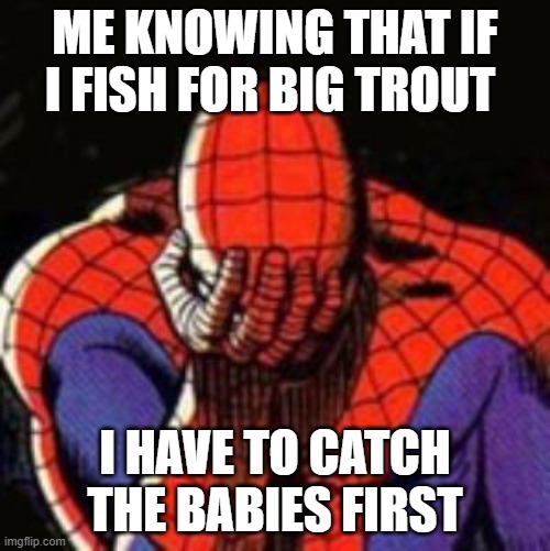 Sad Spiderman | ME KNOWING THAT IF I FISH FOR BIG TROUT; I HAVE TO CATCH THE BABIES FIRST | image tagged in memes,sad spiderman,spiderman | made w/ Imgflip meme maker