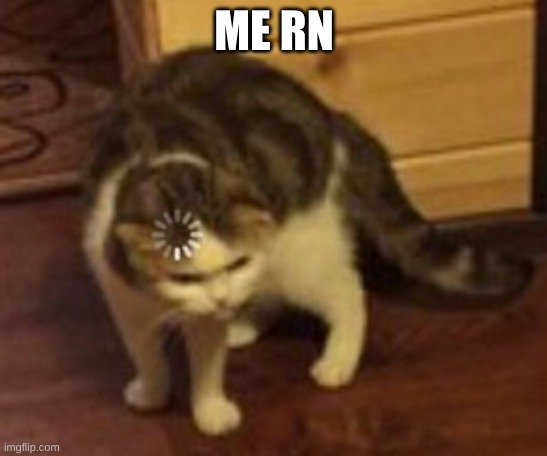 Loading cat | ME RN | image tagged in loading cat | made w/ Imgflip meme maker