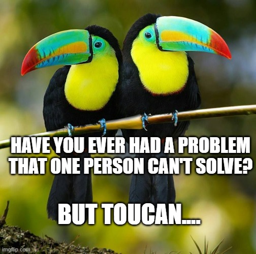 Toucans | HAVE YOU EVER HAD A PROBLEM THAT ONE PERSON CAN'T SOLVE? BUT TOUCAN.... | image tagged in toucans | made w/ Imgflip meme maker