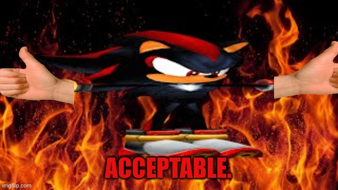 shadow the hege | ACCEPTABLE. | image tagged in shadow the hege | made w/ Imgflip meme maker
