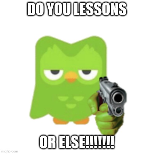 Duolingo | DO YOU LESSONS OR ELSE!!!!!!! | image tagged in duolingo | made w/ Imgflip meme maker