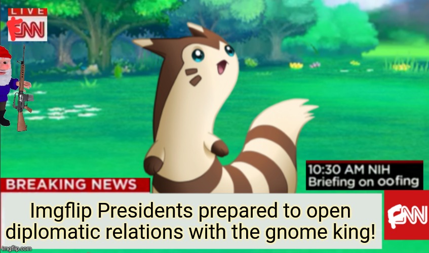 Breaking news! | Imgflip Presidents prepared to open diplomatic relations with the gnome king! | image tagged in breaking news furret,furret news network,stop it get some help,fur | made w/ Imgflip meme maker