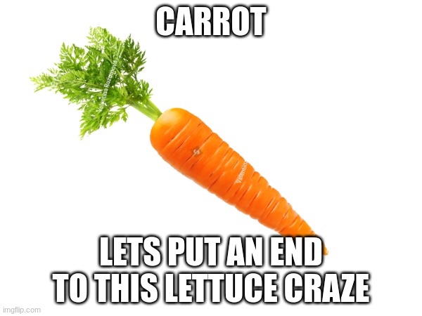 Join The Carrot Club | CARROT; LETS PUT AN END TO THIS LETTUCE CRAZE | image tagged in carrot,lettuce | made w/ Imgflip meme maker