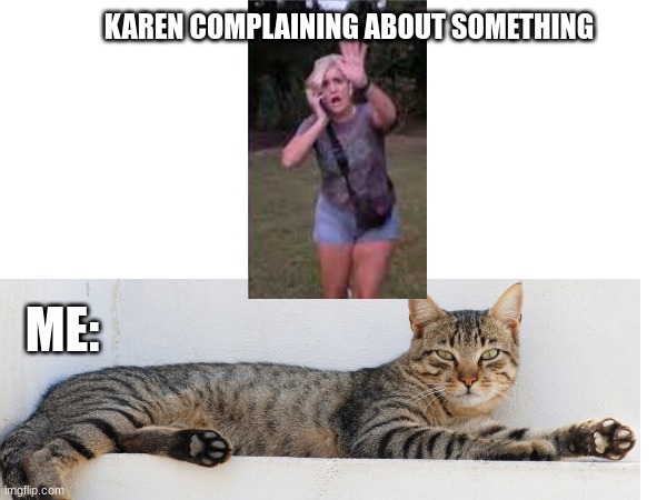 My friend made this. | KAREN COMPLAINING ABOUT SOMETHING; ME: | image tagged in cats | made w/ Imgflip meme maker