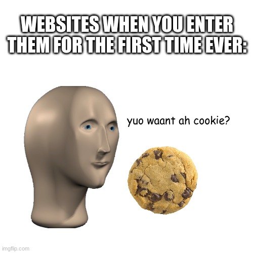 Blank Transparent Square Meme | WEBSITES WHEN YOU ENTER THEM FOR THE FIRST TIME EVER:; yuo waant ah cookie? | image tagged in memes,blank transparent square,meme man,stop reading the tags,or else,barney will eat all of your delectable biscuits | made w/ Imgflip meme maker