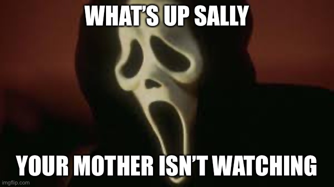 ghost face | WHAT’S UP SALLY; YOUR MOTHER ISN’T WATCHING | image tagged in ghost face | made w/ Imgflip meme maker