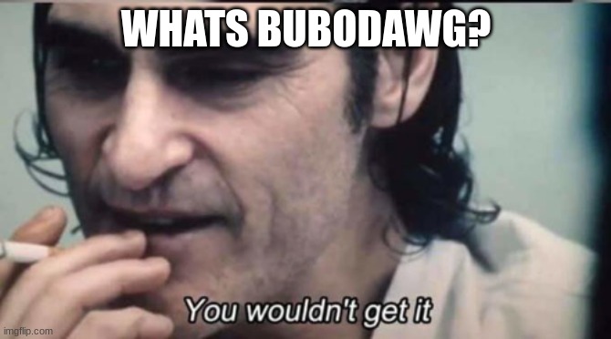 now that shes gone i can do a bunch of these | WHATS BUBODAWG? | image tagged in you wouldnt get it | made w/ Imgflip meme maker