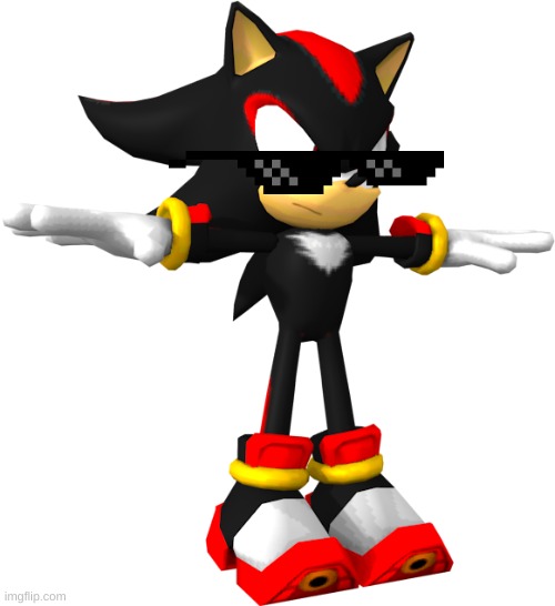 shadow the hedgehog t pose | image tagged in shadow the hedgehog t pose | made w/ Imgflip meme maker