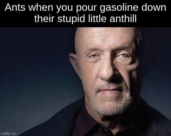 Them ants be overreacting asf | Ants when you pour gasoline down
their stupid little anthill | image tagged in kid named | made w/ Imgflip meme maker