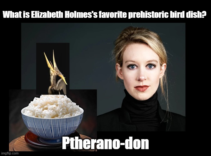 Ptherano-don | What is Elizabeth Holmes's favorite prehistoric bird dish? Ptherano-don | image tagged in donburi,theranos,pun | made w/ Imgflip meme maker
