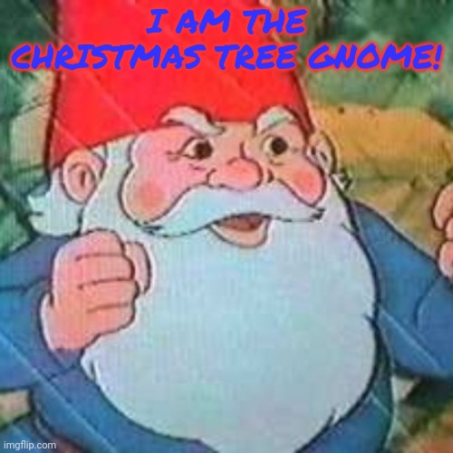 David the Gnome | I AM THE CHRISTMAS TREE GNOME! | image tagged in david the gnome | made w/ Imgflip meme maker