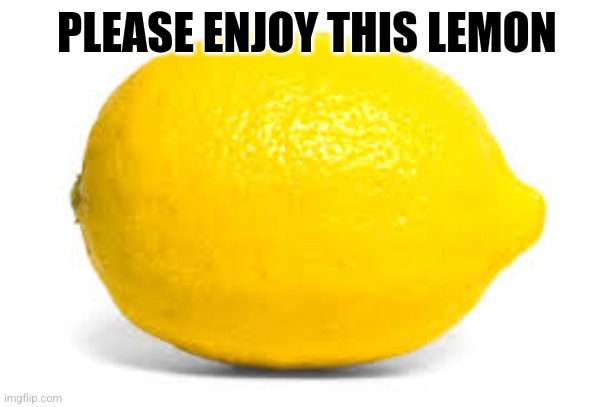 When life gives you lemons, X | PLEASE ENJOY THIS LEMON | image tagged in when life gives you lemons x | made w/ Imgflip meme maker