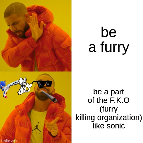 F.K.O | be a furry; be a part of the F.K.O (furry killing organization) like sonic | image tagged in memes,drake hotline bling | made w/ Imgflip meme maker