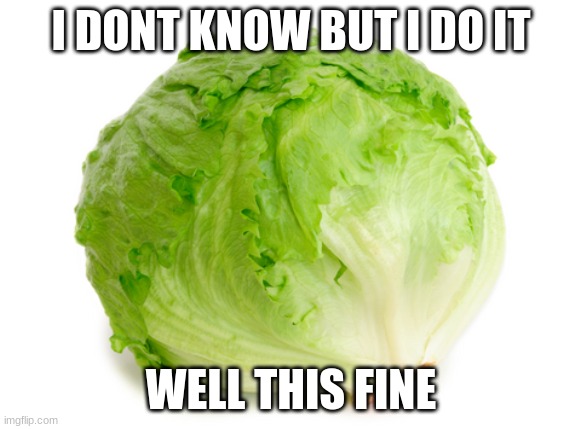 idk | I DONT KNOW BUT I DO IT; WELL THIS FINE | image tagged in lettuce,uwu | made w/ Imgflip meme maker