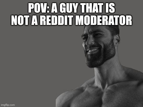 gigachad | POV: A GUY THAT IS NOT A REDDIT MODERATOR | image tagged in gigachad | made w/ Imgflip meme maker