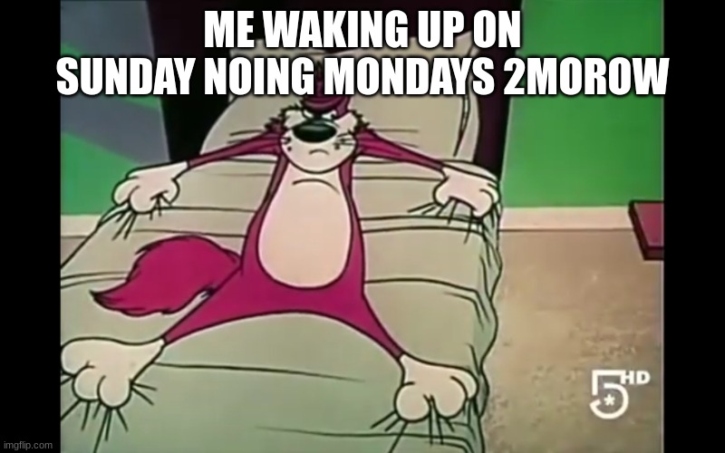 Angry Cat in the bed | ME WAKING UP ON SUNDAY NOING MONDAYS 2MOROW | image tagged in angry cat in the bed | made w/ Imgflip meme maker