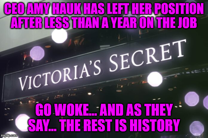 More go woke go broke... LOL | CEO AMY HAUK HAS LEFT HER POSITION AFTER LESS THAN A YEAR ON THE JOB; GO WOKE... AND AS THEY SAY... THE REST IS HISTORY | image tagged in stupid liberals | made w/ Imgflip meme maker