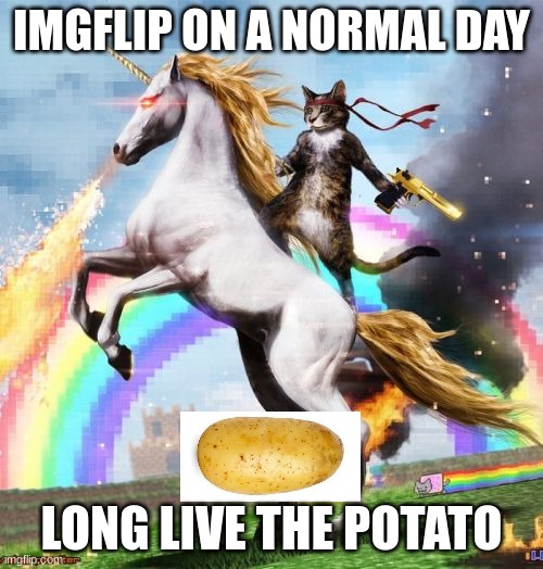The meme war | IMGFLIP ON A NORMAL DAY; LONG LIVE THE POTATO | image tagged in memes,welcome to the internets | made w/ Imgflip meme maker