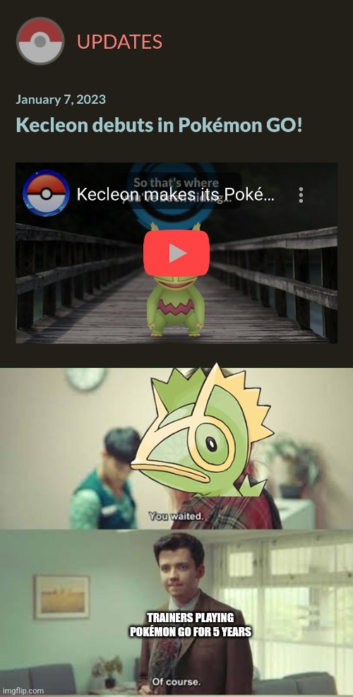 FINALLY!!!! | TRAINERS PLAYING POKÉMON GO FOR 5 YEARS | image tagged in you waited of course,kecleon,pokemon go | made w/ Imgflip meme maker