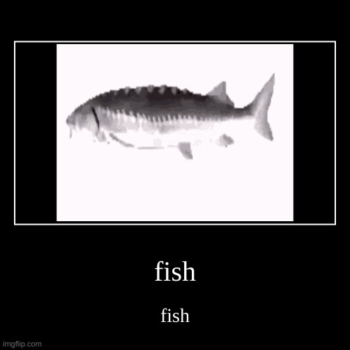 fish | image tagged in funny,demotivationals | made w/ Imgflip demotivational maker