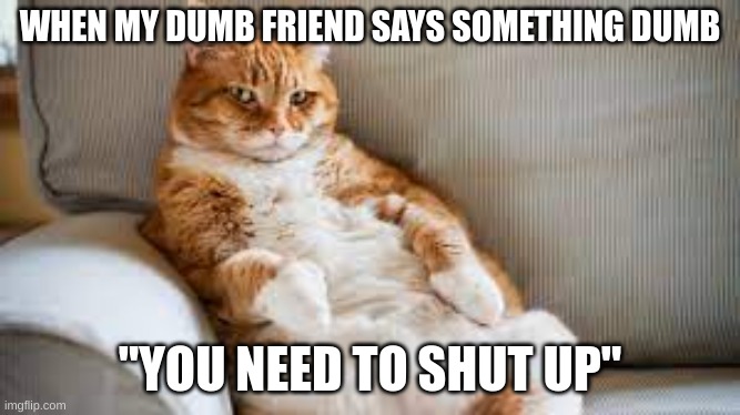 cat? | WHEN MY DUMB FRIEND SAYS SOMETHING DUMB; "YOU NEED TO SHUT UP" | image tagged in cat | made w/ Imgflip meme maker